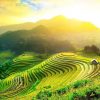 La boucle Ha giang: 4 jours et 3 nuits0
