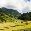 La boucle Ha giang: 3 jours et 2 nuits5
