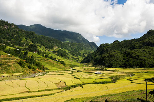 La boucle Ha giang: 3 jours et 2 nuits5