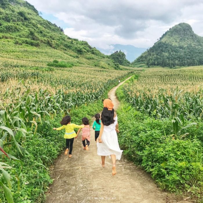 La boucle Ha giang: 4 jours et 3 nuits5